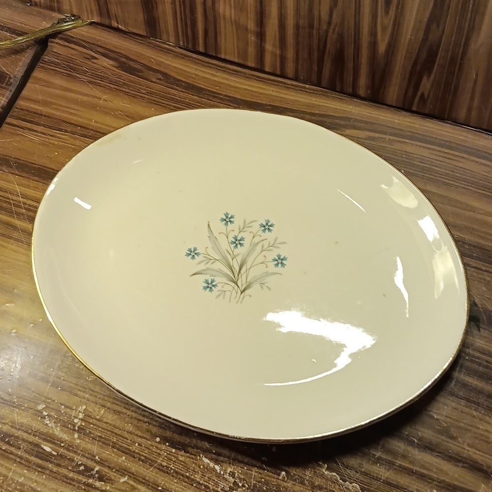 Vintage 1950s mcm SCIO Hampton oval serving platter blue 💐 flowers